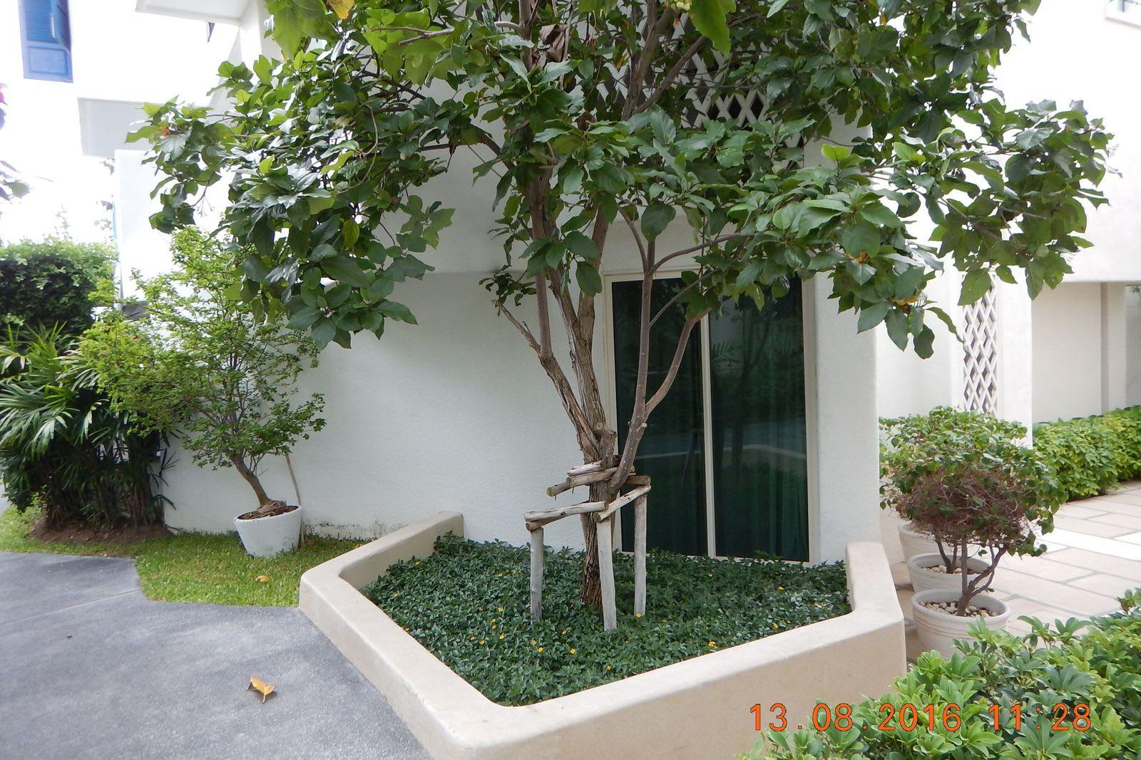 Condo for Sale in Chelona huahin condo, Hua Hin, Thailand 5